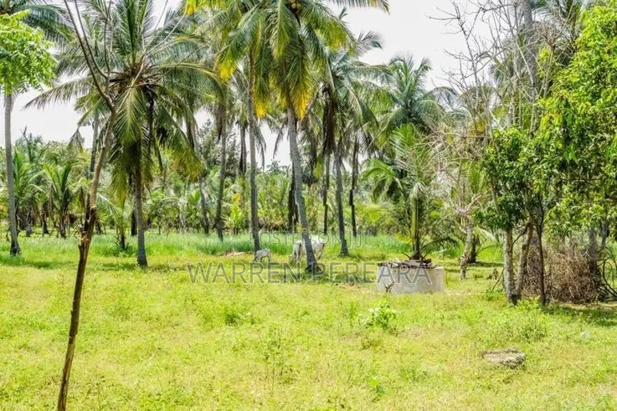 Land for Sale - Pasikuda Sri Lanka
