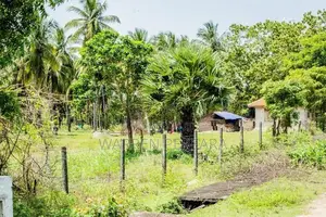 Land for Sale - Pasikuda Sri Lanka