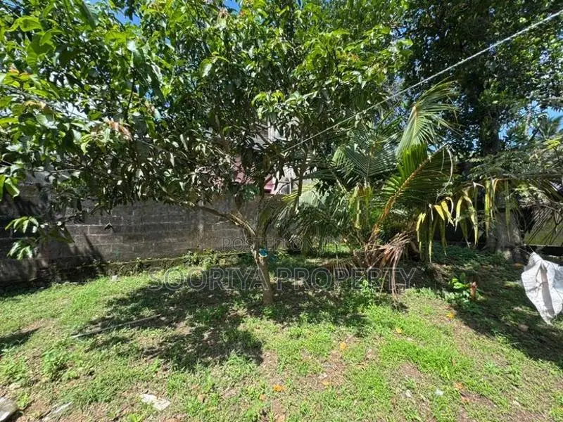 Piliyandala Mawittara 19 Perches House for Sale