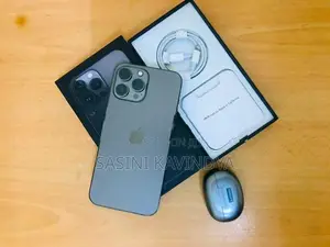 Apple iPhone 13 Pro Max (Used)