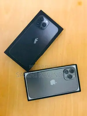 Apple iPhone 13 Pro Max (Used)