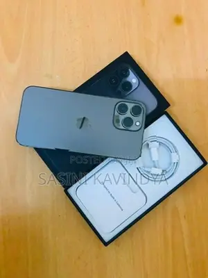 Apple iPhone 13 Pro Max (Used)