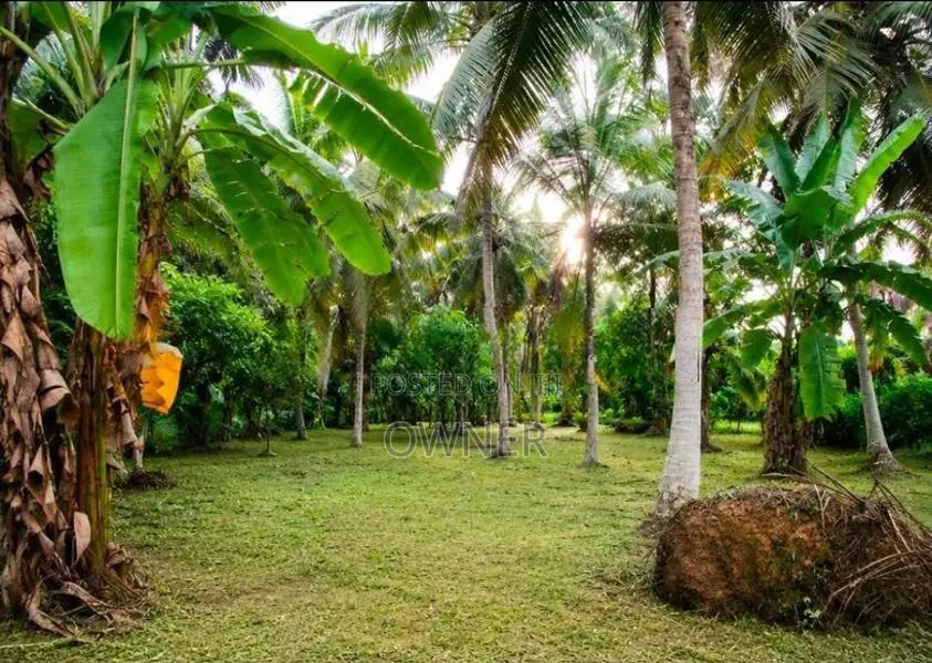 ගම්පහ-වැලිවේරියට ඉතා ආසන්නව "පර්චස් 58" ක වටිනා ඉඩමක් විකිණීමට