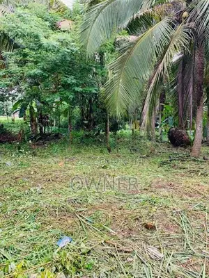 ගම්පහ-වැලිවේරියට ඉතා ආසන්නව "පර්චස් 58" ක වටිනා ඉඩමක් විකිණීමට