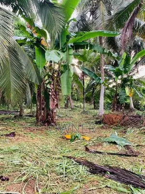 ගම්පහ-වැලිවේරියට ඉතා ආසන්නව "පර්චස් 58" ක වටිනා ඉඩමක් විකිණීමට