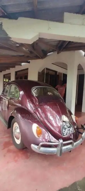 Volkswagen Beetle 1960