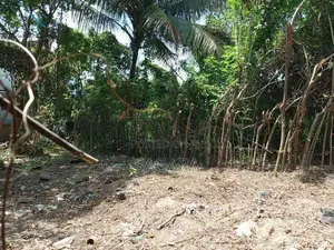 Land for Sale in Matara