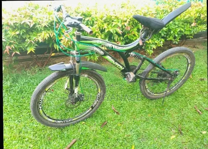 Kenton Bike