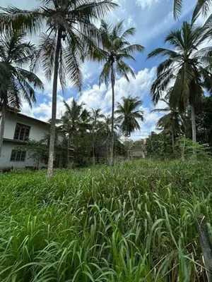 Land for Sale in Yakkala Nelligahamula