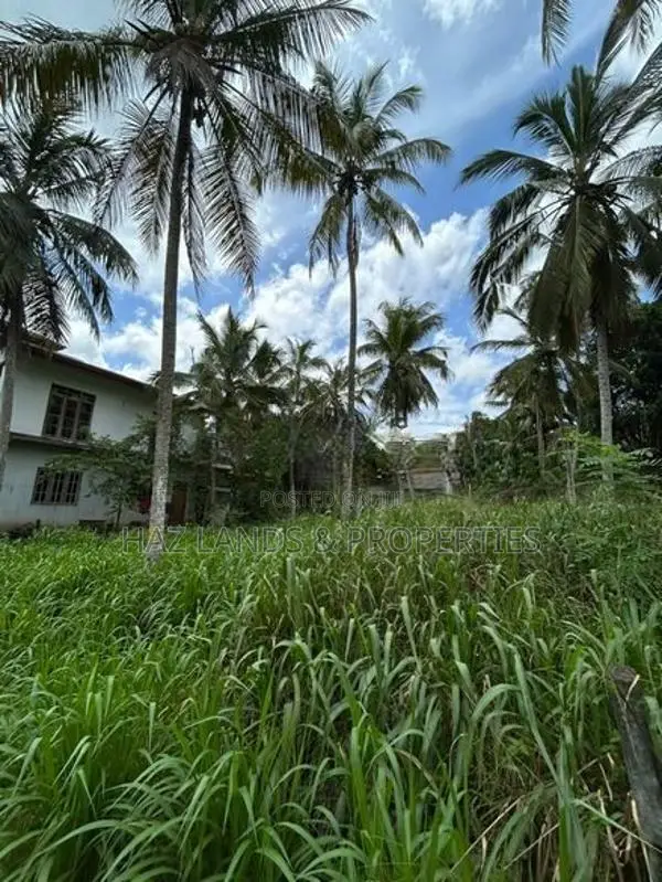 Land for Sale in Yakkala Nelligahamula