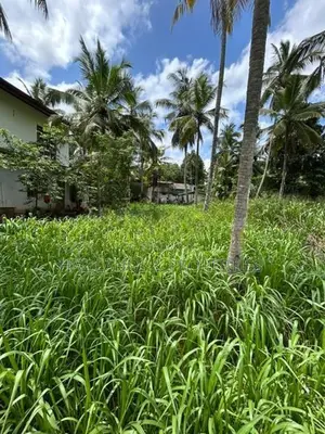 Land for Sale in Yakkala Nelligahamula