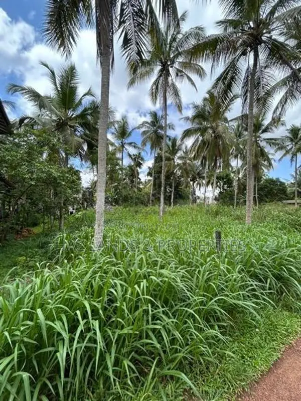 Land for Sale in Yakkala Nelligahamula