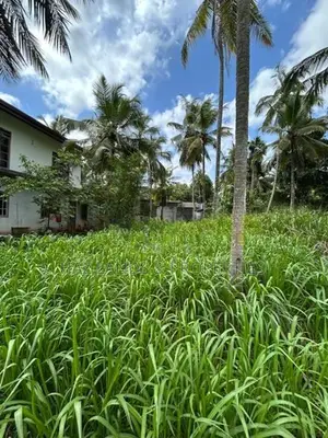 Land for Sale in Yakkala Nelligahamula
