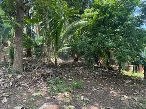 Near Colombo Road ( 120 ) Superb Land for Sale in Piliyandala