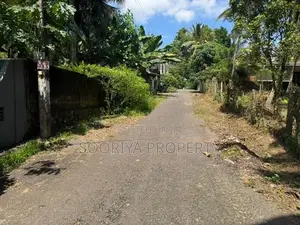 Near Colombo Road ( 120 ) Superb Land for Sale in Piliyandala
