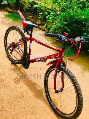 DSI Bicycle