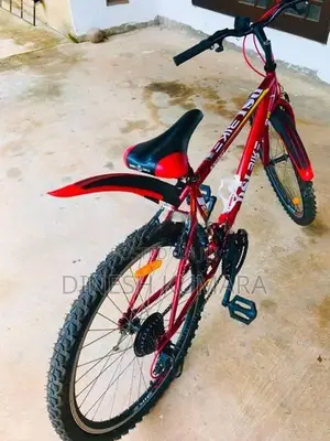 DSI Bicycle