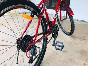 DSI Bicycle