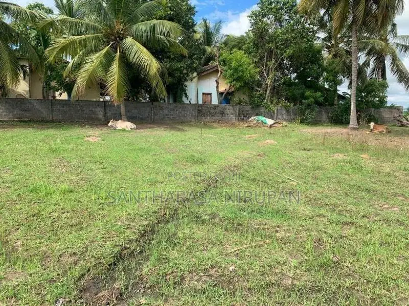 Land for Sale Akkaraipattu
