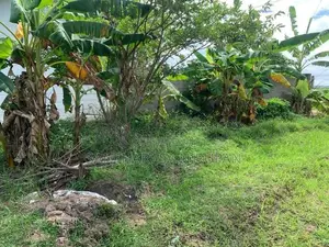 Land for Sale Akkaraipattu