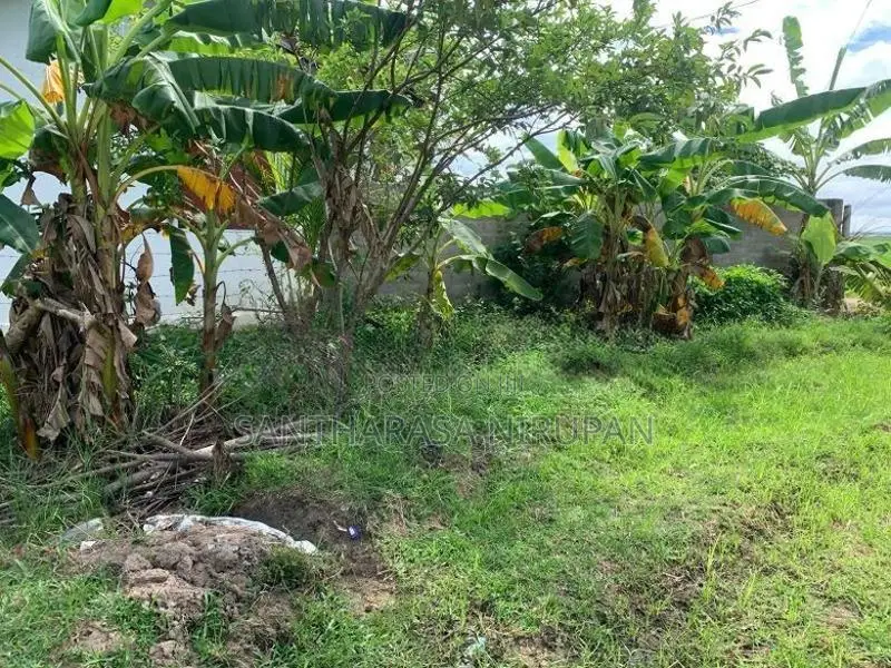 Land for Sale Akkaraipattu