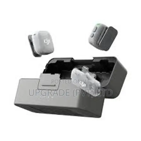 Mic Mini 2