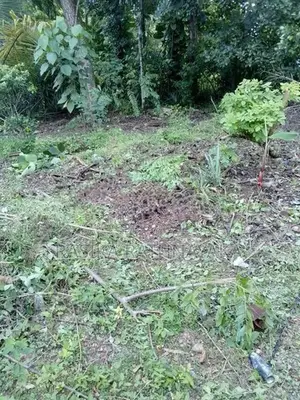 Land for Sale Hokandara