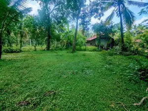 ගම්පහ පර්චස් 38 බිම් කොටසක්