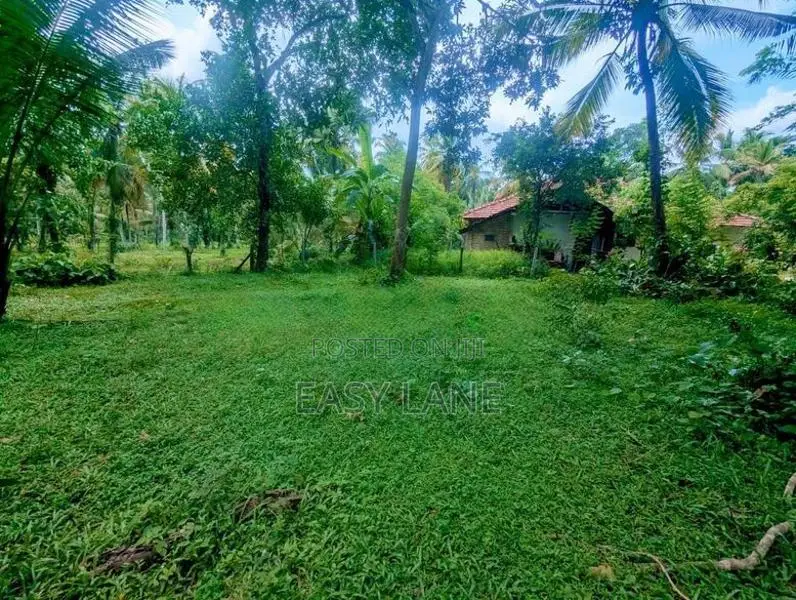ගම්පහ පර්චස් 38 බිම් කොටසක්