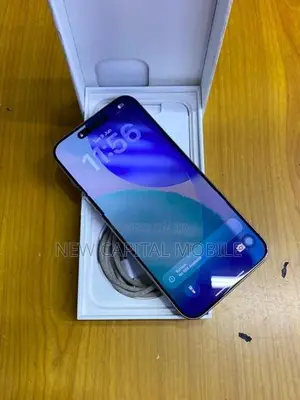 Apple iPhone 15 Pro Max (Used)