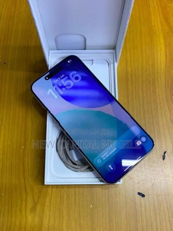 Apple iPhone 15 Pro Max (Used)