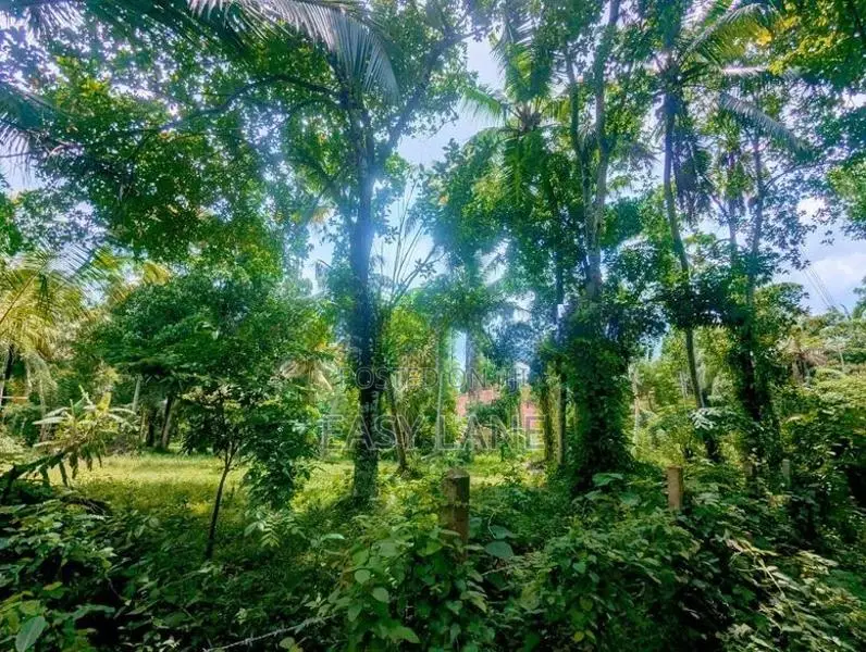 ගම්පහ පර්චස් 38 බිම් කොටසක්