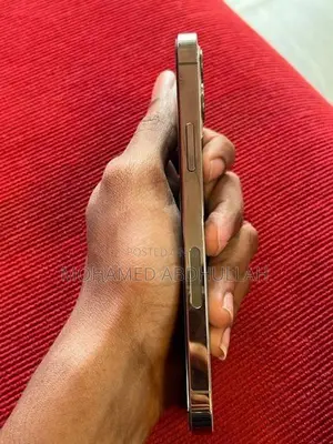 Apple iPhone 12 Pro (Used)