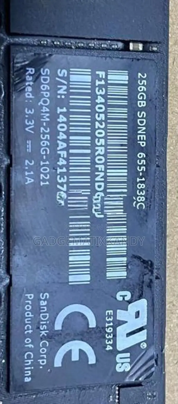 Apple SSD 256GB M.2 M Key