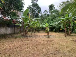 මරදගහමුල නගරයෙන් වටිනා බිම් කොටසක් විකිණීමට