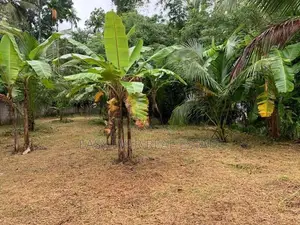 මරදගහමුල නගරයෙන් වටිනා බිම් කොටසක් විකිණීමට