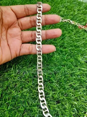 Silver Chain