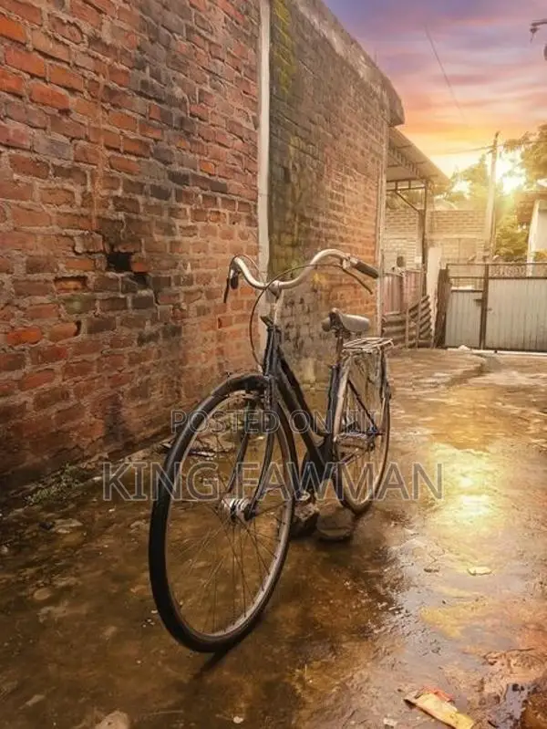 Japan Bicycle