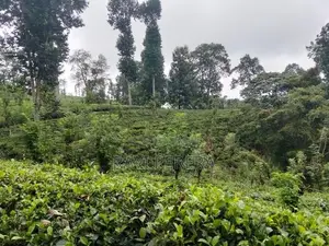 Land for Sale Matale