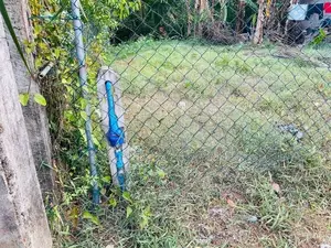 Land for Sale ගනේමුල්ල