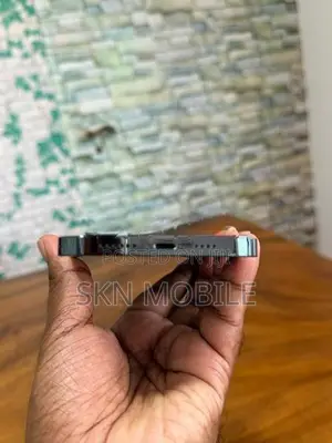 Apple iPhone 12 Pro Max 128GB (Used)