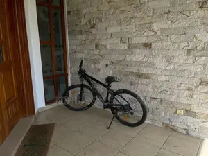 Mountain Bicycle