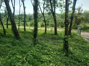 හෝමාගම බෙරුකැටිය බිම් කොටස් විකිණීමට