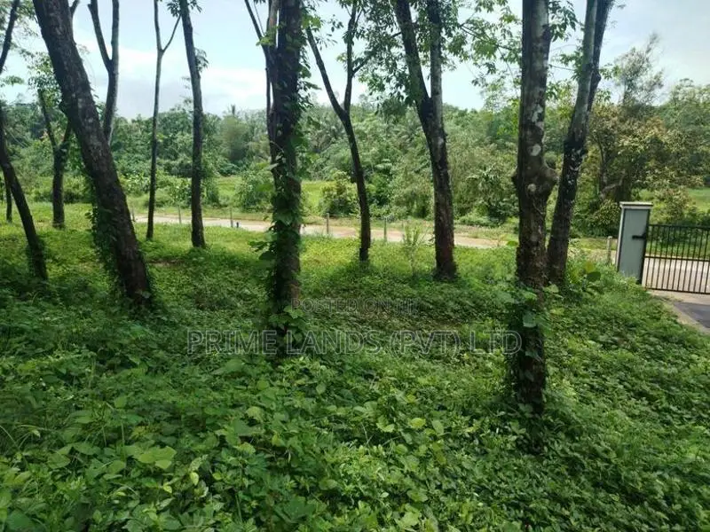හෝමාගම බෙරුකැටිය බිම් කොටස් විකිණීමට