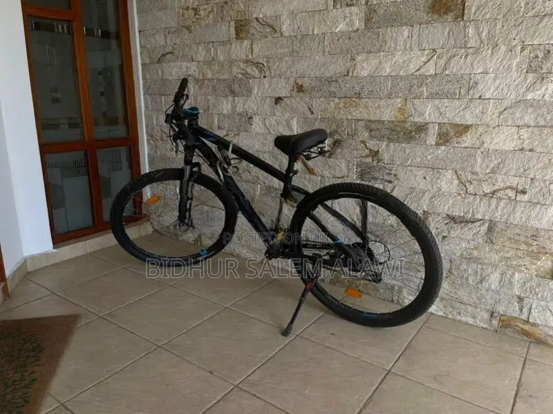 Mountain Bicycle