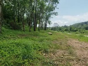 හෝමාගම බෙරුකැටිය බිම් කොටස් විකිණීමට