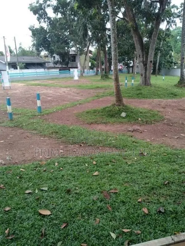තලවතුගොඩ නගරයට ආසන්නව බිම් කොටසක් විකිණීමට