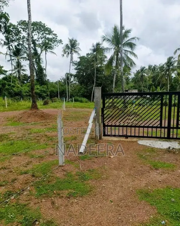 Land for Sale Walpita
