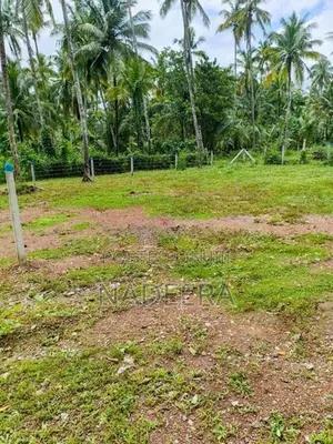 Land for Sale Walpita