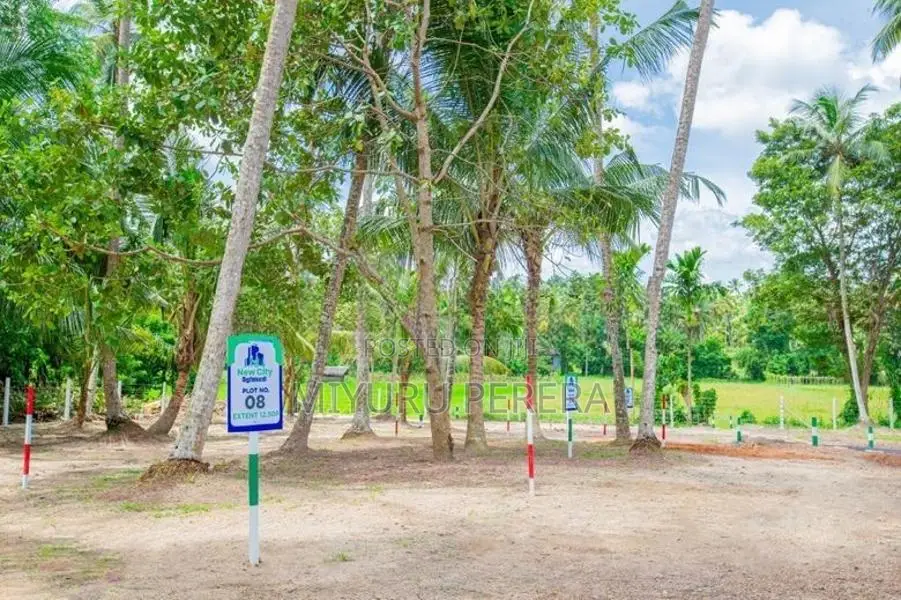 Land for Sale in Minuwangoda